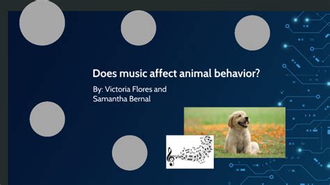 Does Music Affect on Animal Behavior - Exploring the Intricate Symphony Between Sound and Creature Conduct