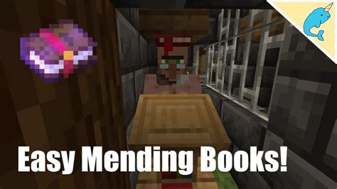 How to Get Books in Minecraft: A Diverse Perspective